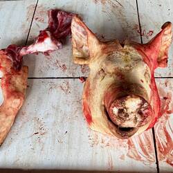 Schweinekopf ist eine teure Delikatesse