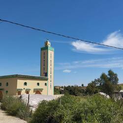 Storch auf dem Turm der Moschee