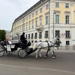 Fiaker vor Kanzleramt