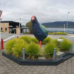 Te Aunau