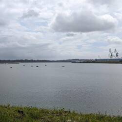 Ferrol