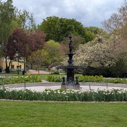 Schlossgarten