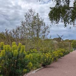 Schlossgarten