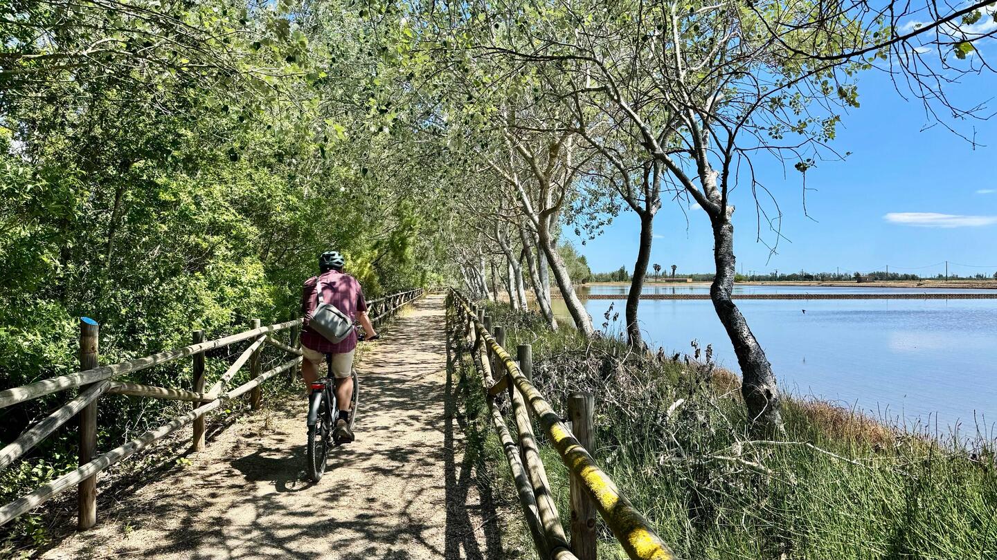 Toller Fahrradweg zwischen Ebro und Reis