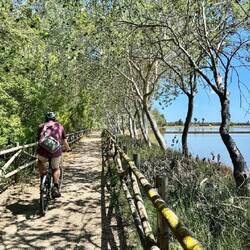 Toller Fahrradweg zwischen Ebro und Reis