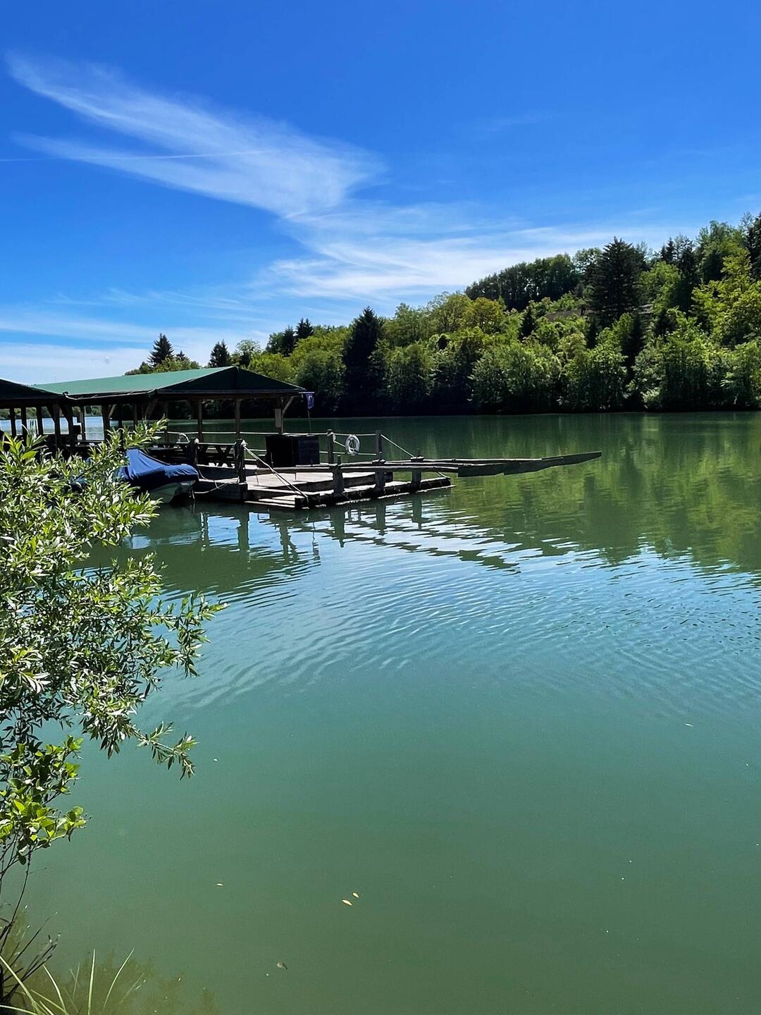 Das große Floß an der Drau 🇸🇮