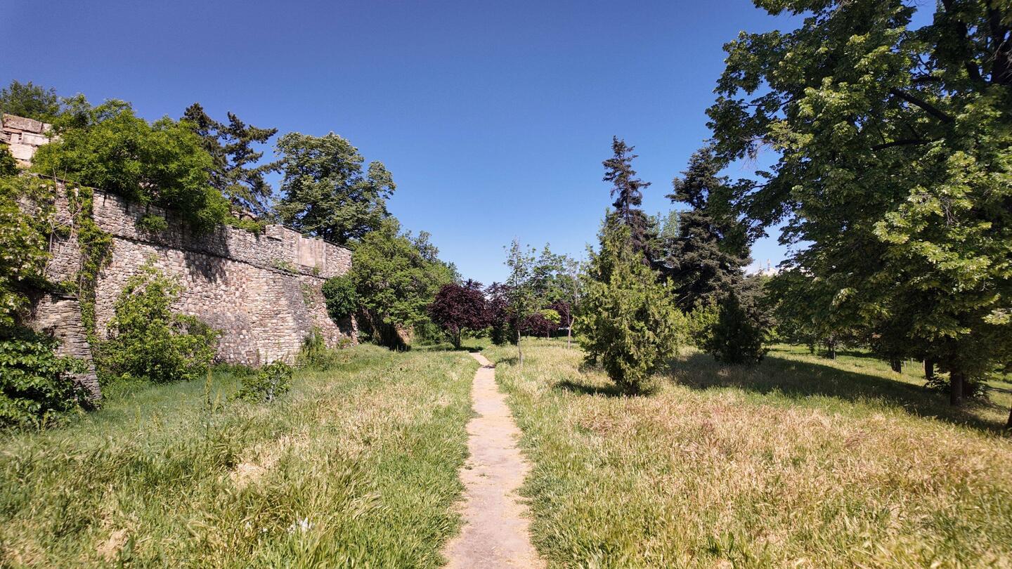 Auf dem Weg nach oben