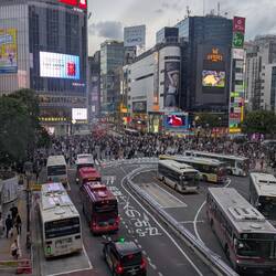Shibuya Kreuzung