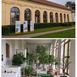 Orangerie