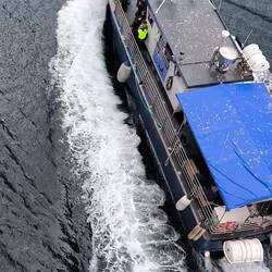 sie fahren in den Trollfjord auf Seeadlersafari