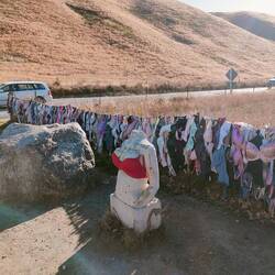 Cardrona Bar Fence