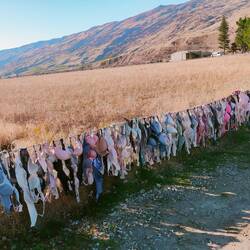 Cardrona Bar Fence
