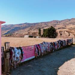 Cardrona Bar Fence