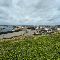 Hafen mit Fischfabrik in Hanstholm