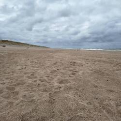Ein Strandspaziergang am Morgen...