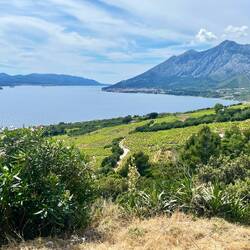 La route de vins en Croatie ?