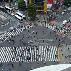 Shibuya Crossing - bekannt aus Film und Instagramm