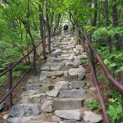 Aufstieg im Wald ... / Ascent in the forest ...