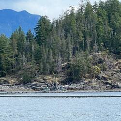 Fish farm at Joyce Point.