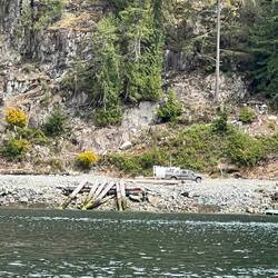 Possible logging operation?