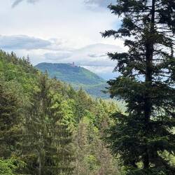 Blick zurück aufs Château
