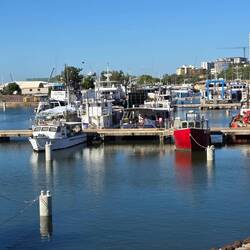 Darwin harbour