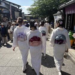 Und überall posieren die als Geishas verkleideteten Touristinnen ...