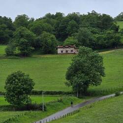 The lush countryside