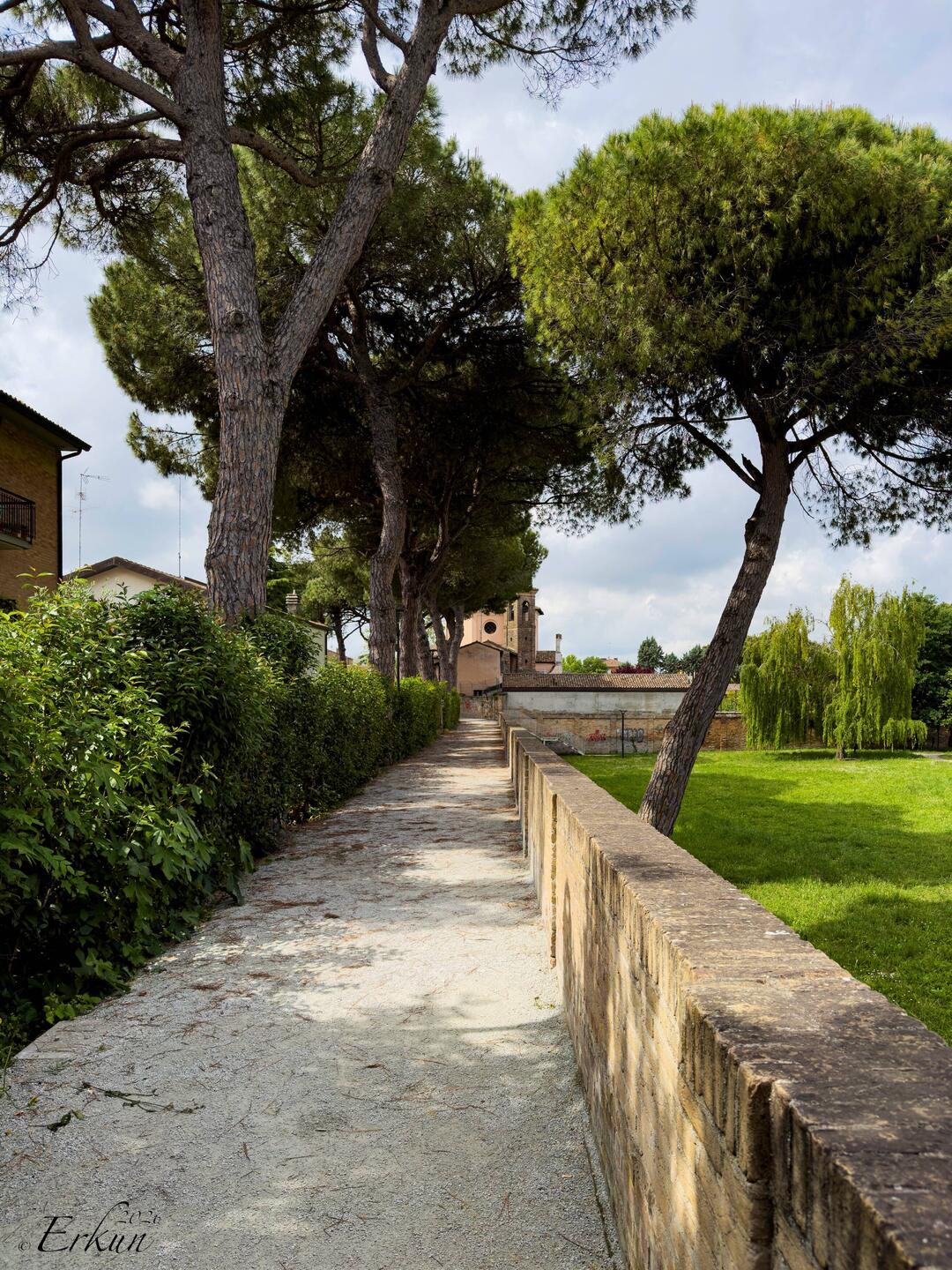 On our way to Fontana Ardea Purpurea — Ravenna, Italy.