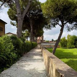 On our way to Fontana Ardea Purpurea — Ravenna, Italy.