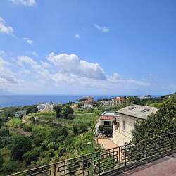 Beautiful Mansions along the Bay.
