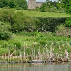 View of All Saints Church, St. Paul's Walden, cross the Lake