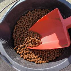 Futterpellets