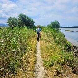 romantischer Fahrradweg zur Ochsenbauchbucht