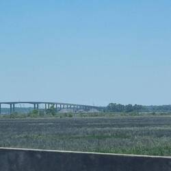 Swampy marshes in foreground