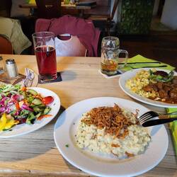Wolli bekommt Wildgulasch und ich Kässpatzen.