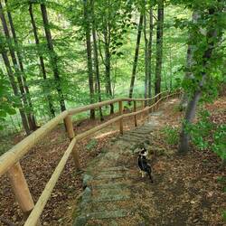 Leni schafft die Treppen mit Leichtigkeit.