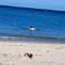 ... und ich (alleine) im Wasser, war wohl knapp 17°