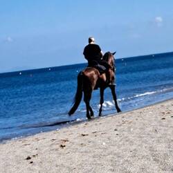 Sie 2 und Aufsicht Vreni am Strand (18 km lang)
