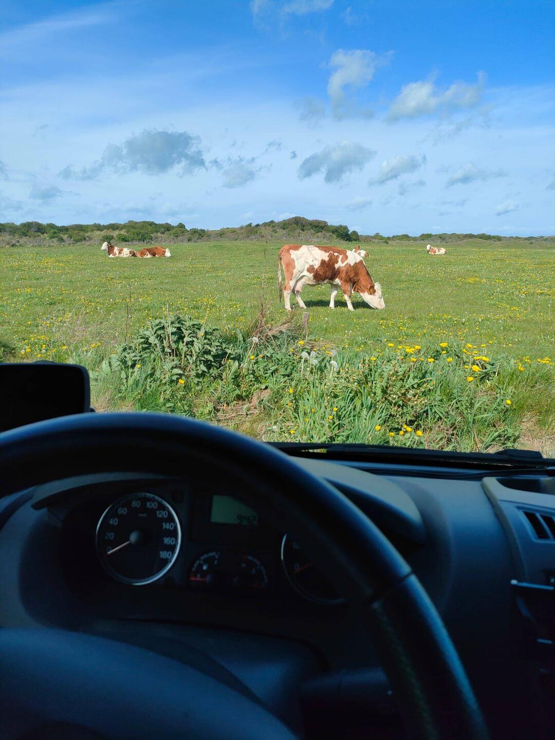 Blick beim Frühstück aus dem Camper