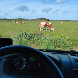 Blick beim Frühstück aus dem Camper