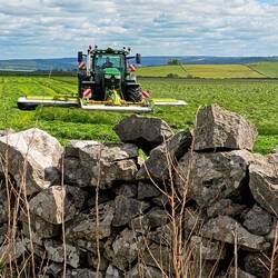Farmers reaping crops already - presumably for fodder