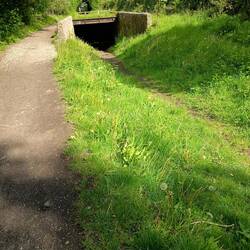 One with a train carrying explosive led to the building of this escape tunnel