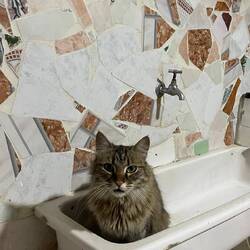 Pouti will nicht baden