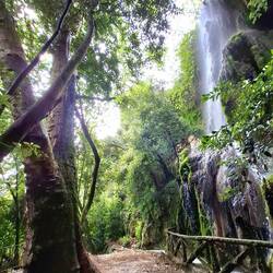 200 Jahre alte Plantane und magischer Wasserfall