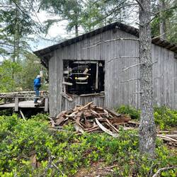 That pile of wood must have been cleaned out from inside the shed as it is more art.