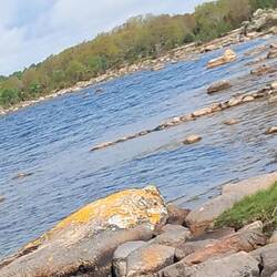 Naturschutzreservat Almö,hier herrschen Heckenrose und Weißdorn🌹💮