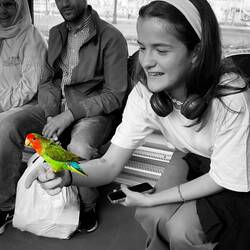Making the rounds ... on the TTPER train from Casalecchio Palasport to Bologna.