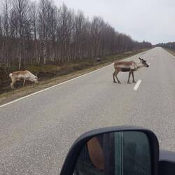 ... maaa...allora???? 😁😜