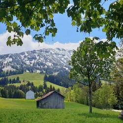 Wiese, Berge, Sonnenschein
